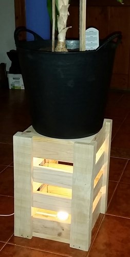 2017-03-13 12.56.38.jpg